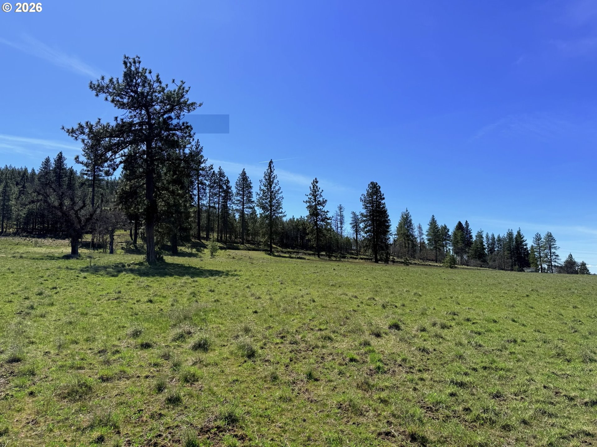 471 Woodland Road Goldendale, WA 98620 - Photo 26 of 43