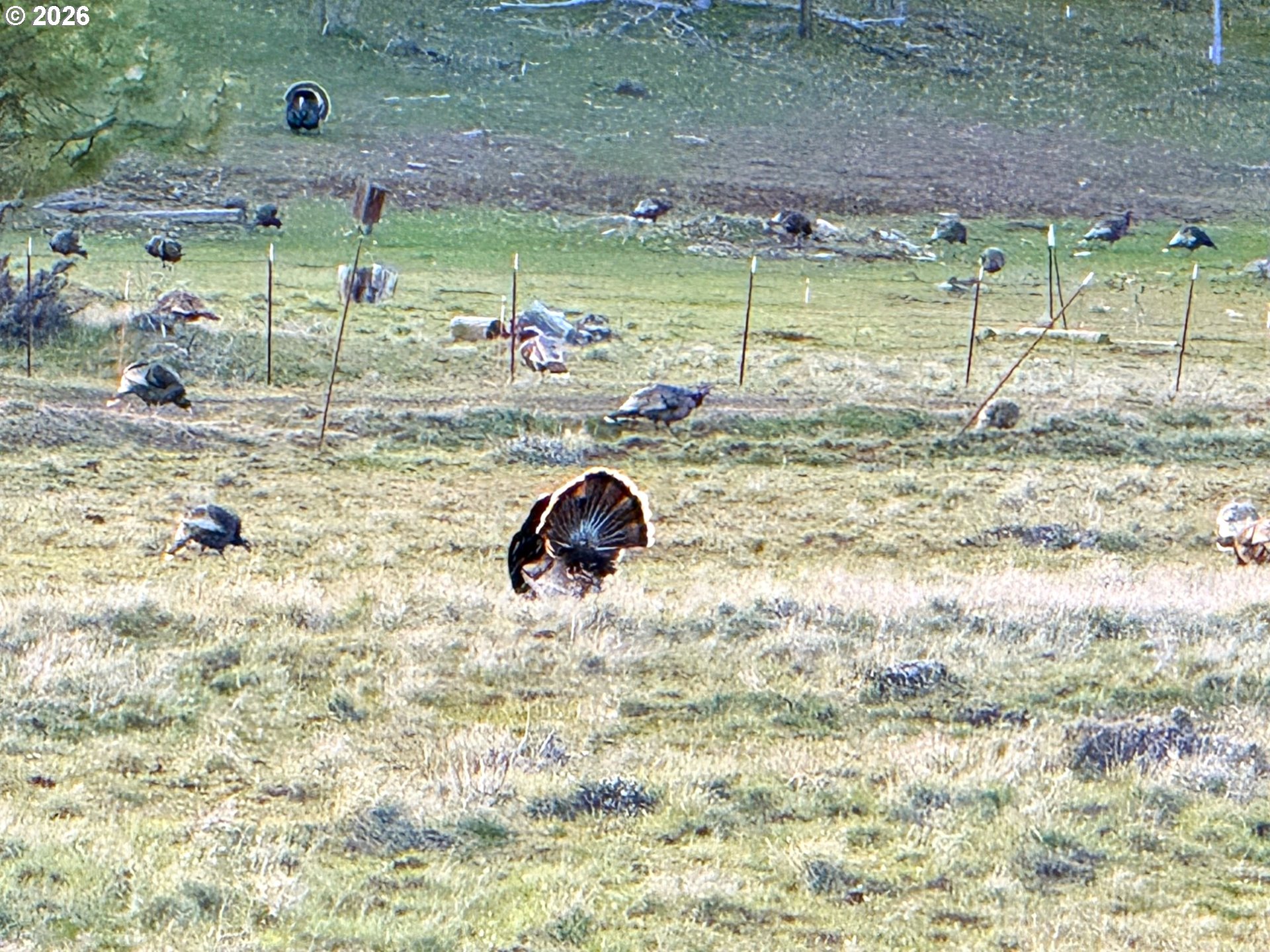 471 Woodland Road Goldendale, WA 98620 - Photo 31 of 43