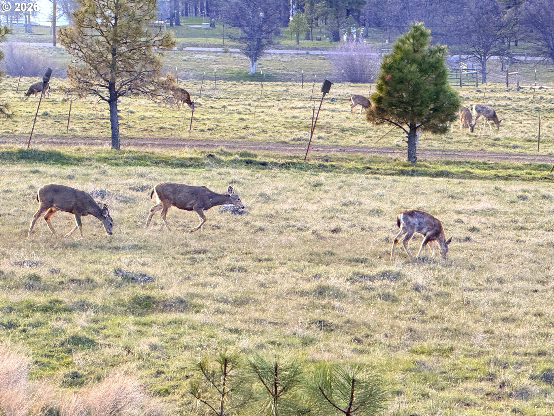 471 Woodland Road Goldendale, WA 98620 - Photo 33 of 43