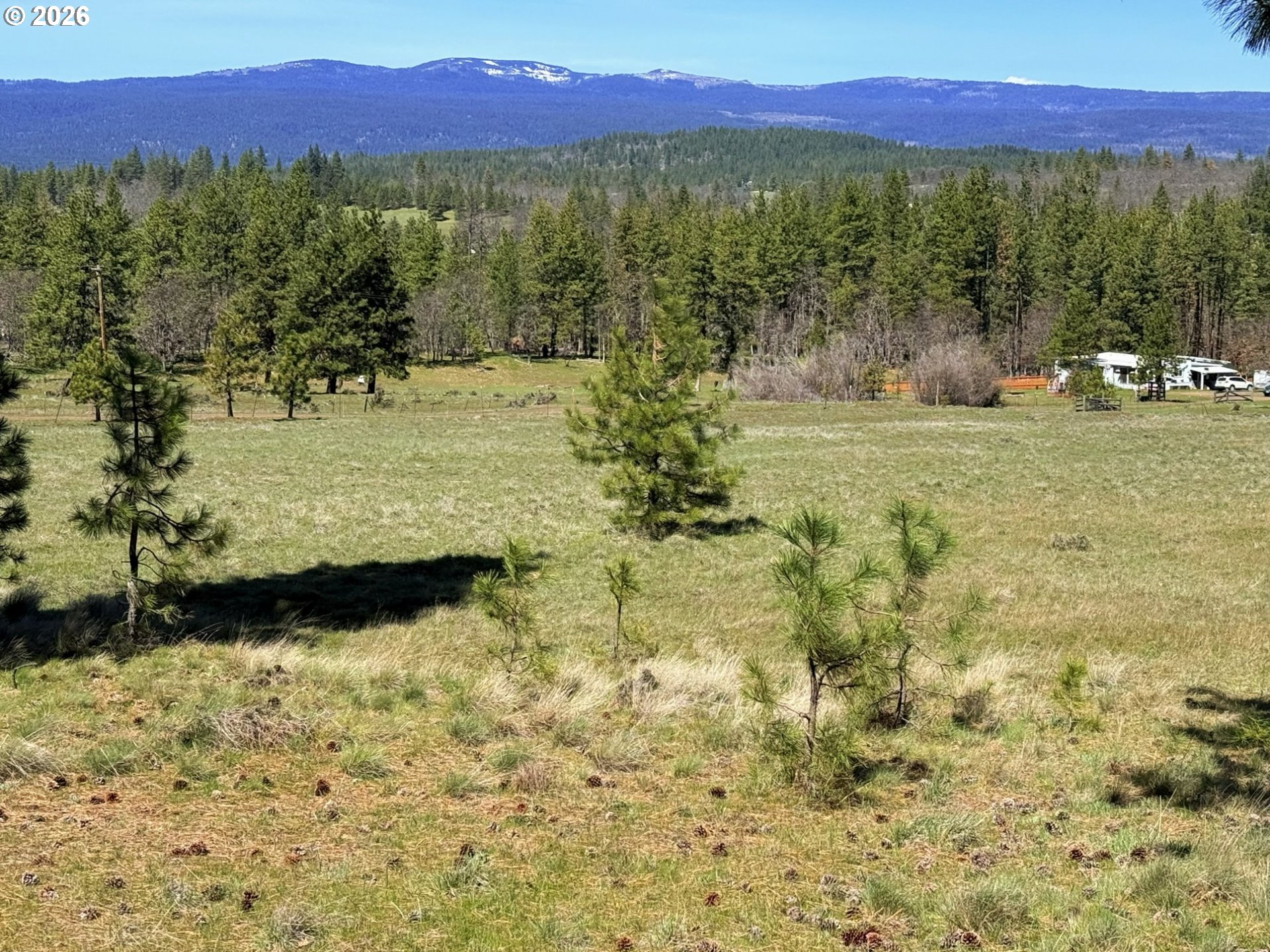 471 Woodland Road Goldendale, WA 98620 - Photo 4 of 43