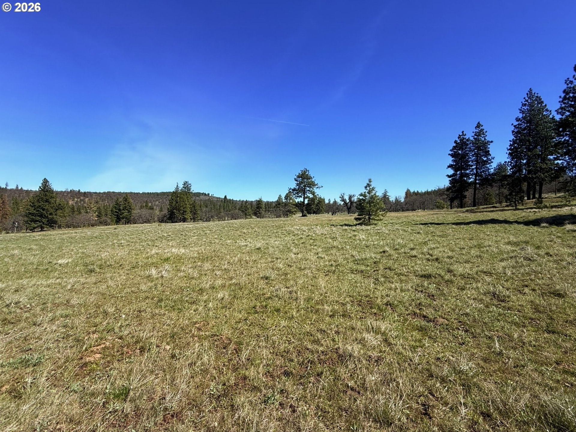 471 Woodland Road Goldendale, WA 98620 - Photo 8 of 43