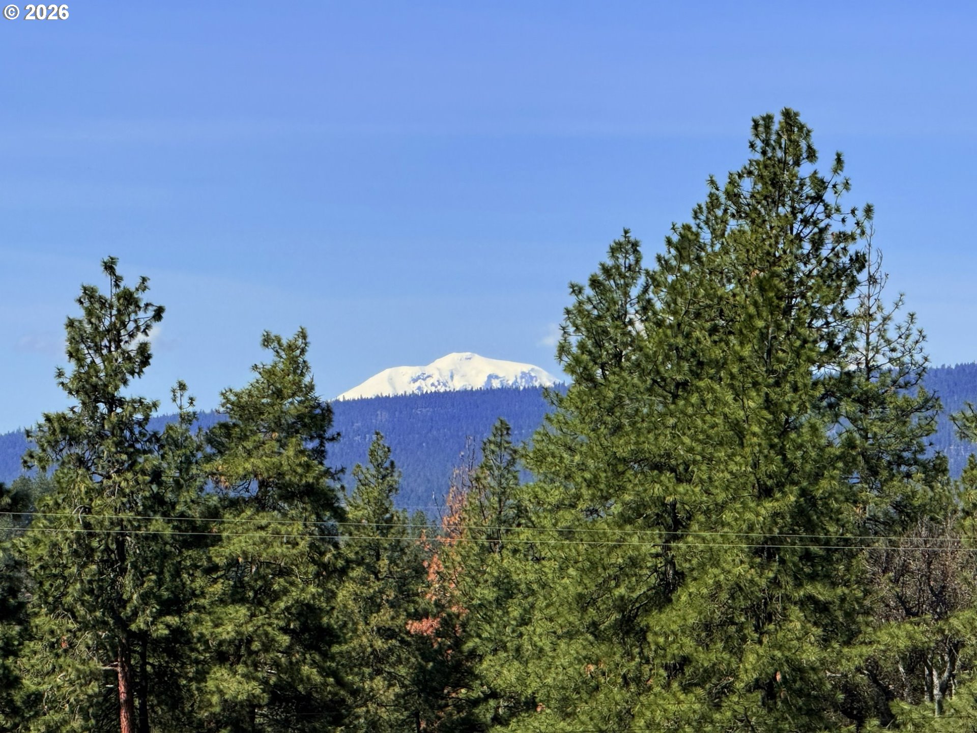 471 Woodland Road Goldendale, WA 98620 - Photo 9 of 43