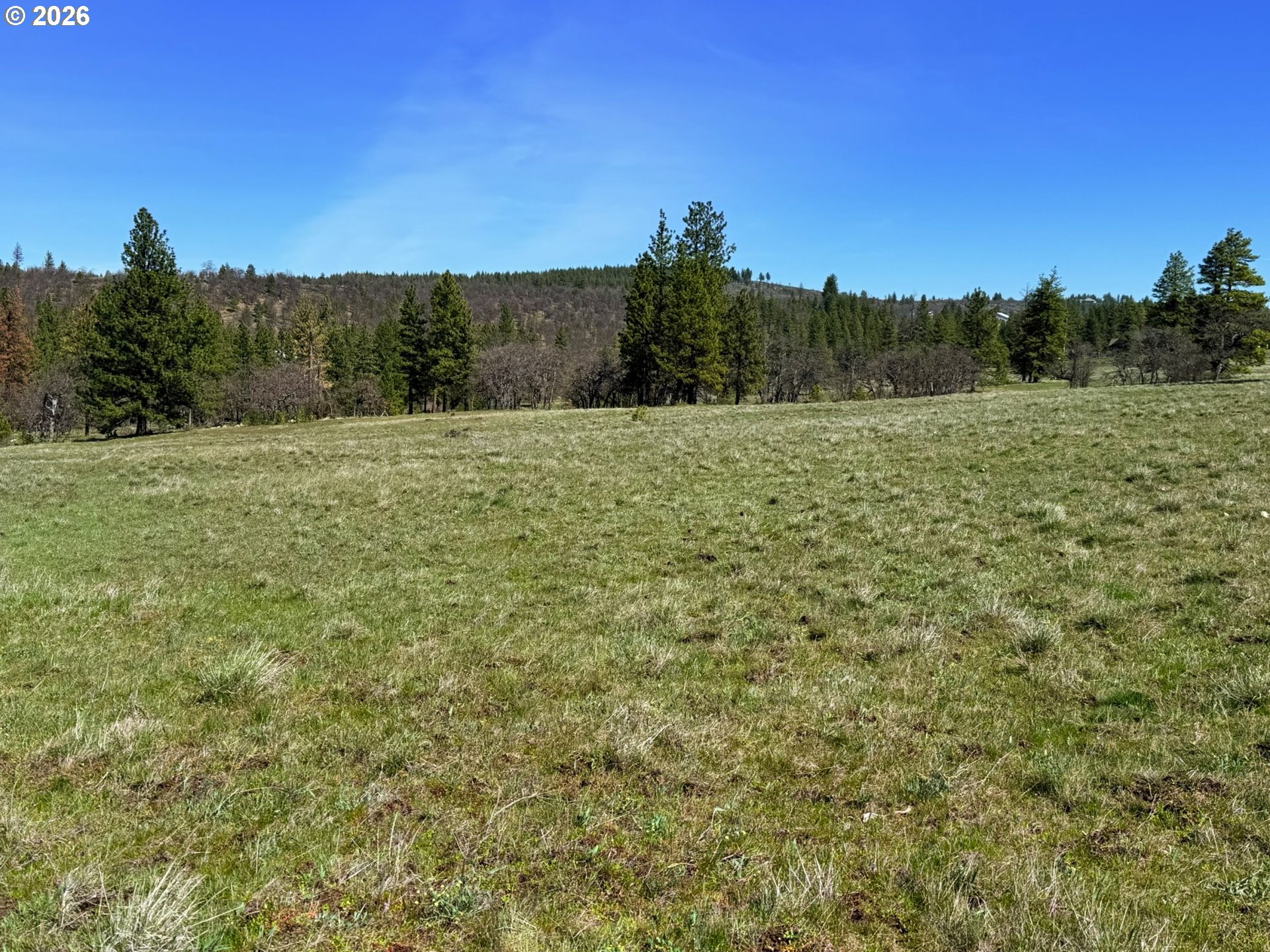 471 Woodland Road Goldendale, WA 98620 - Photo 10 of 43