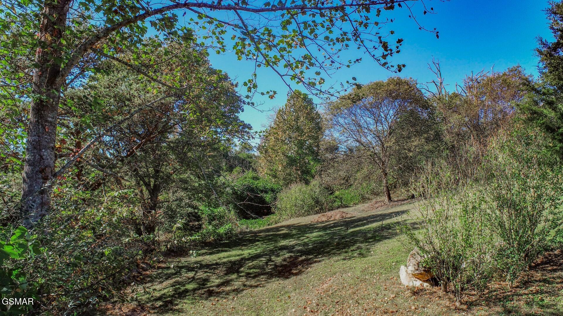 2409 Perilla Road Cosby, TN 37722 - Photo 32 of 50 Gallery Image 32