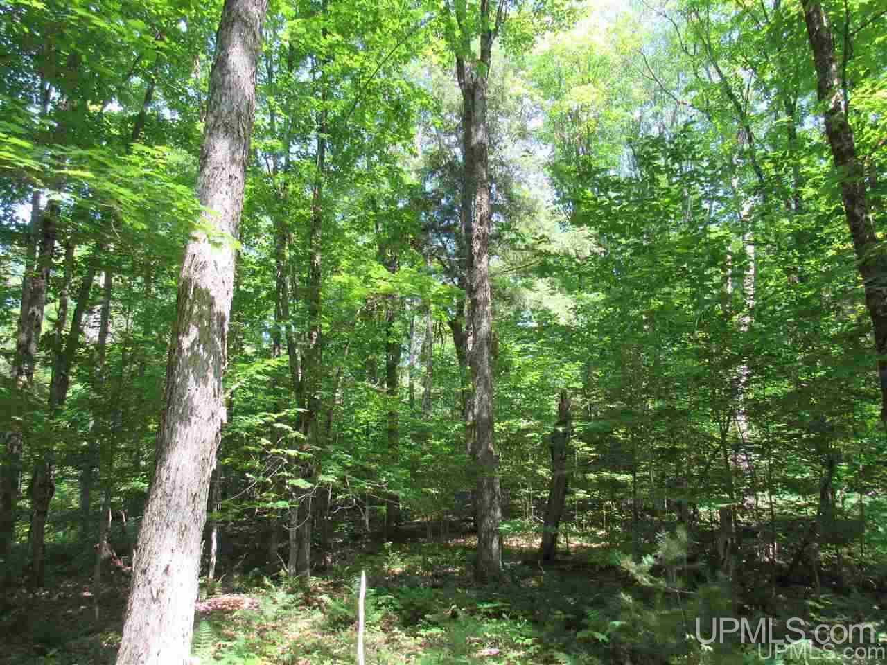 2804-acres Co Rd 442 McMillan, MI 49853 - Photo 25 of 48