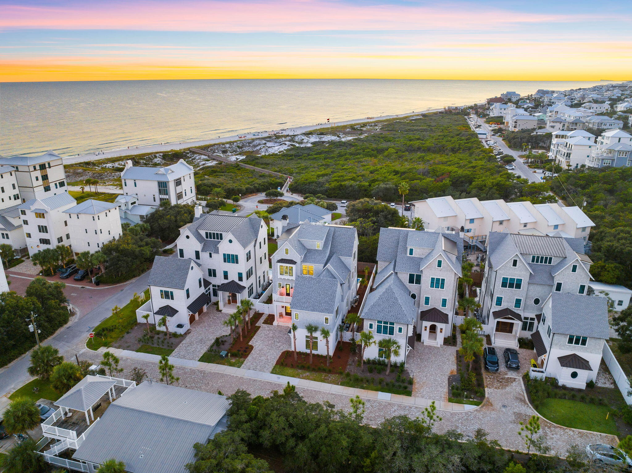 27 Grand Inlet Inlet Beach, FL 32461 - Photo 60 of 65 an aerial view of residential houses with outdoor space and ocean