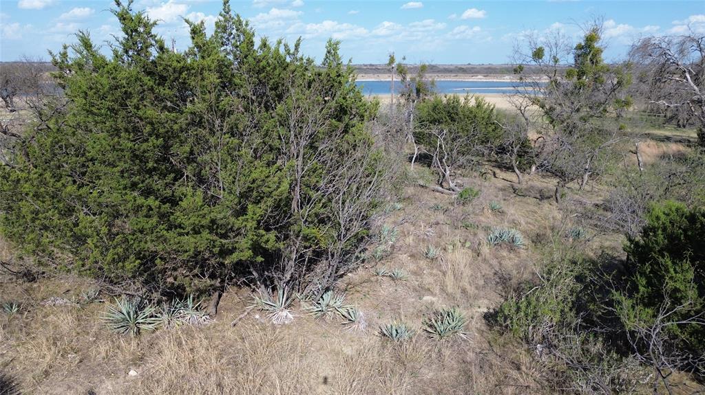 0 Lake Point Road Comanche, TX 76442 - Photo 2 of 6 a view of a forest with a tree