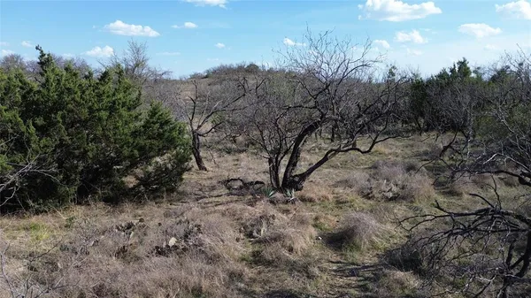 a view of a yard with lots of bushes