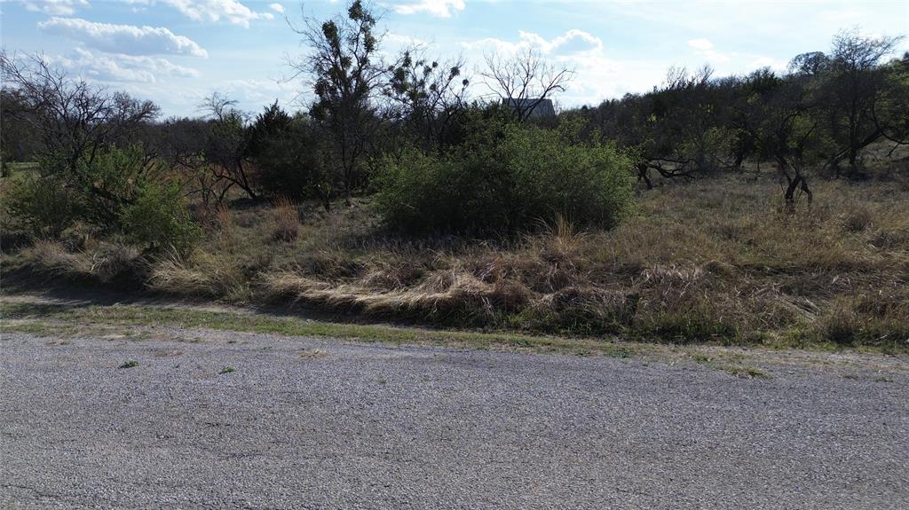 0 Lake Point Road Comanche, TX 76442 - Photo 5 of 6 a view of a yard with a tree