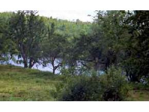 167 River Road Lunenburg, VT 05906 - Photo 2 of 5