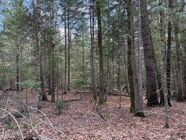 $75,000 | L34.2 Youngs Road, Unit 2, Olmstedville, NY 12857