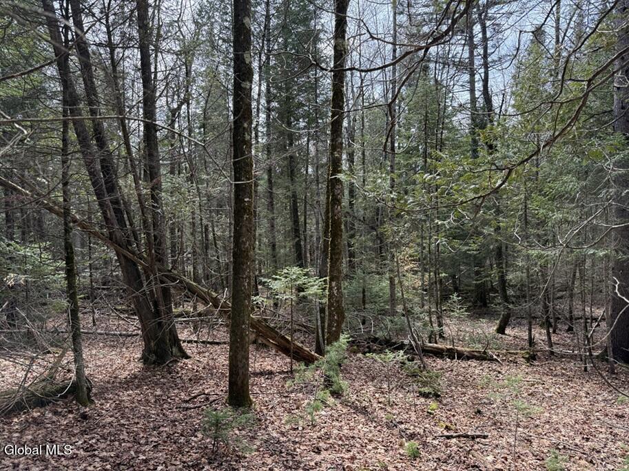 L34.2 Youngs Road, Unit 2 Olmstedville, NY 12857 - Photo 2 of 3 IMG_8518 2B