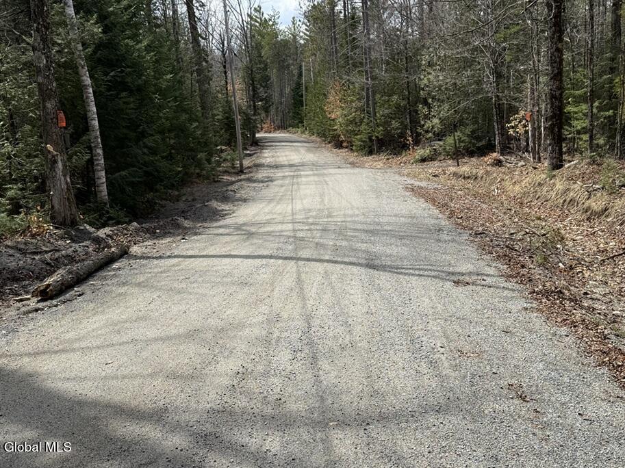 L34.2 Youngs Road, Unit 2 Olmstedville, NY 12857 - Photo 3 of 3 IMG_8515 Youngs