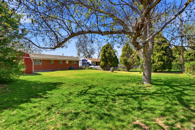2348 North 770 West Clinton, UT 84015 - Photo 18 of 25 Expansive green lawn with mature trees providing dappled shade