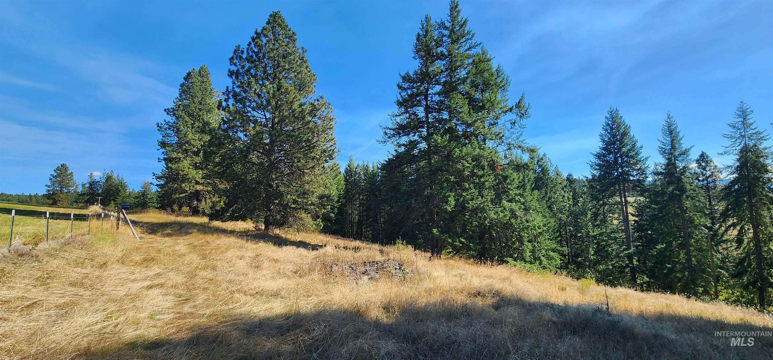 Tbd Red Fir Road Kooskia, ID 83539 - Photo 10 of 34