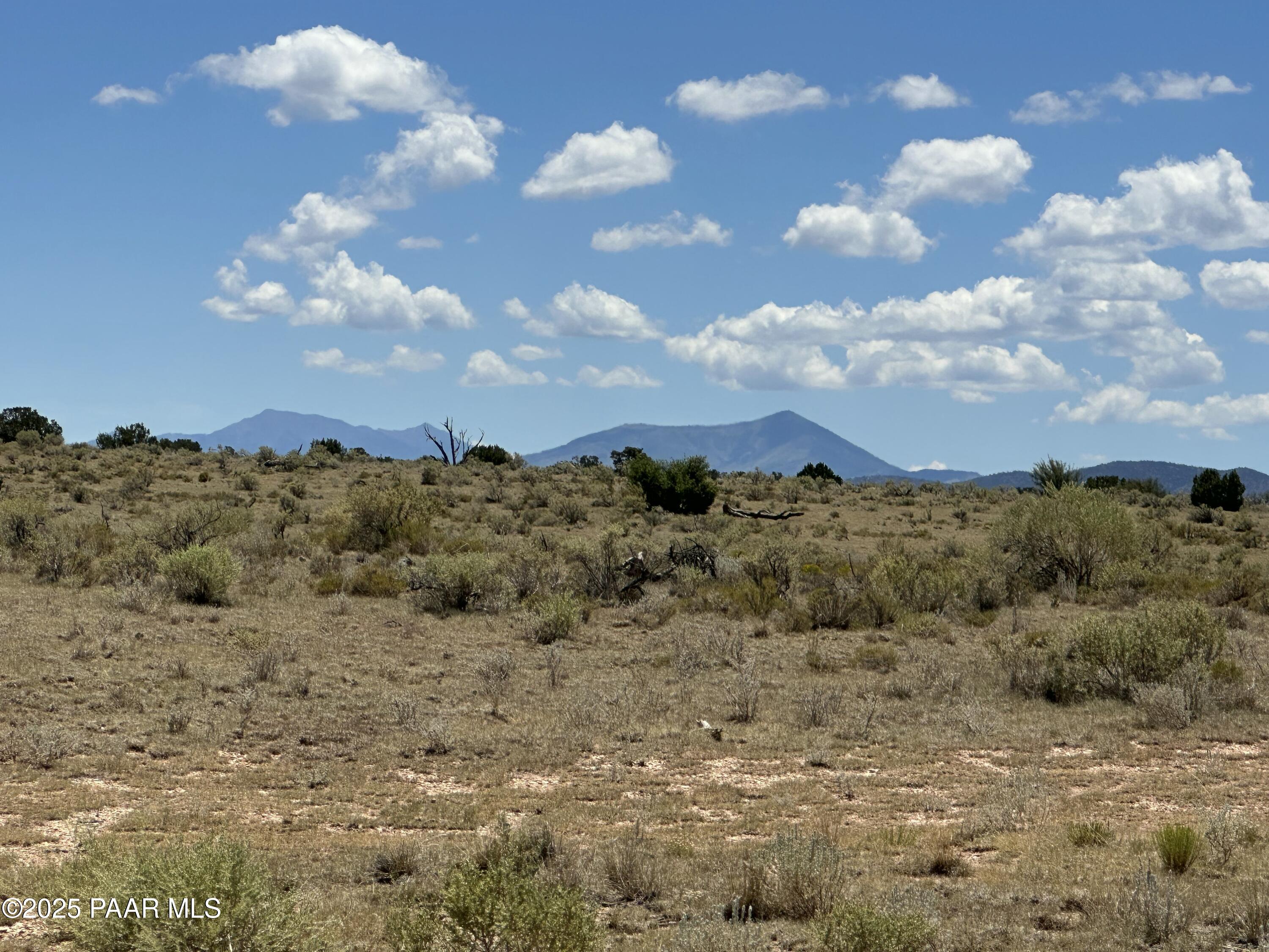 547 East Concho Road Williams, AZ 86046 - Photo 15 of 15 IMG_9461 3