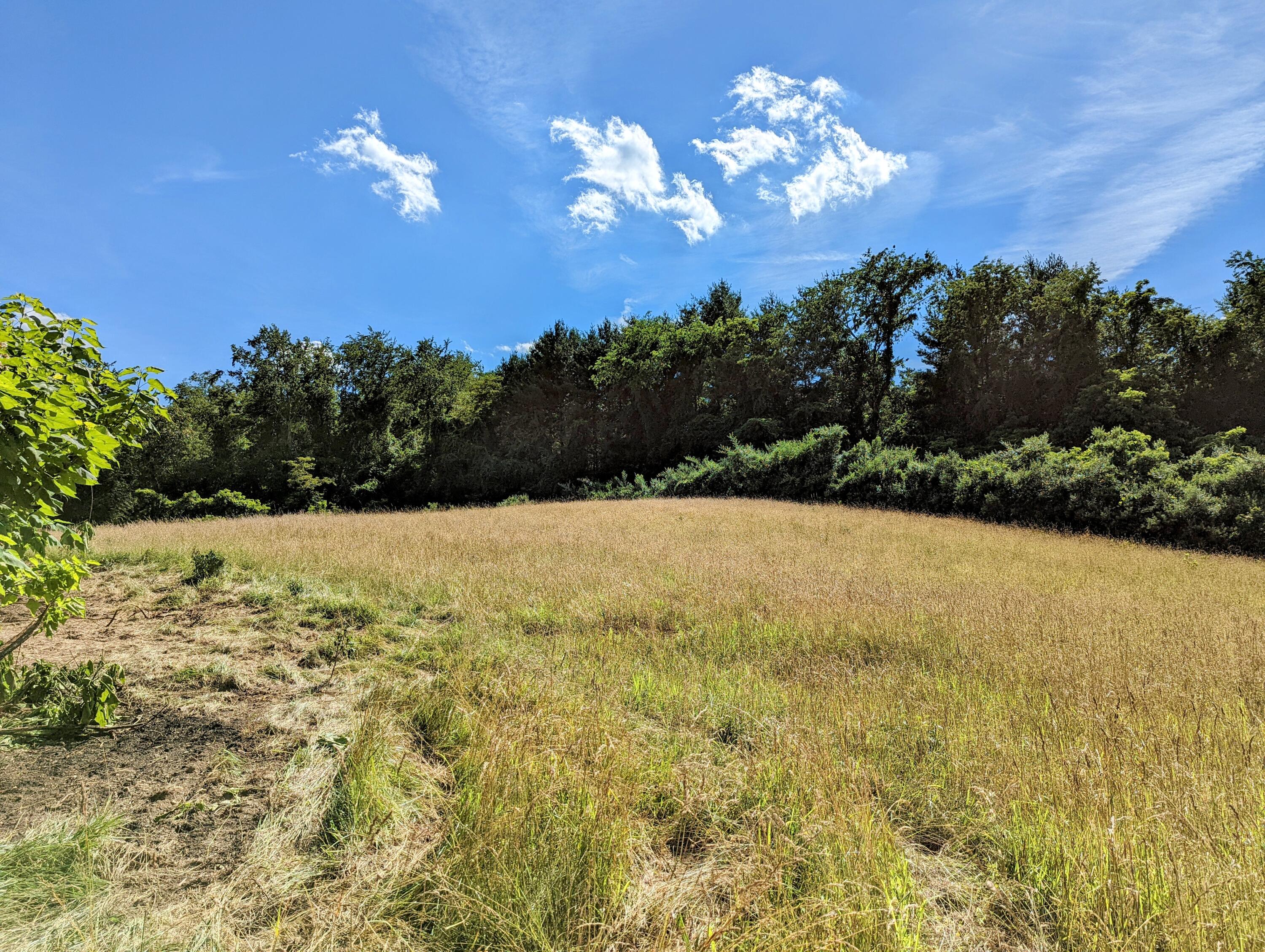 5283 Landrum Road Dublin, VA 24084 - Photo 12 of 15 11