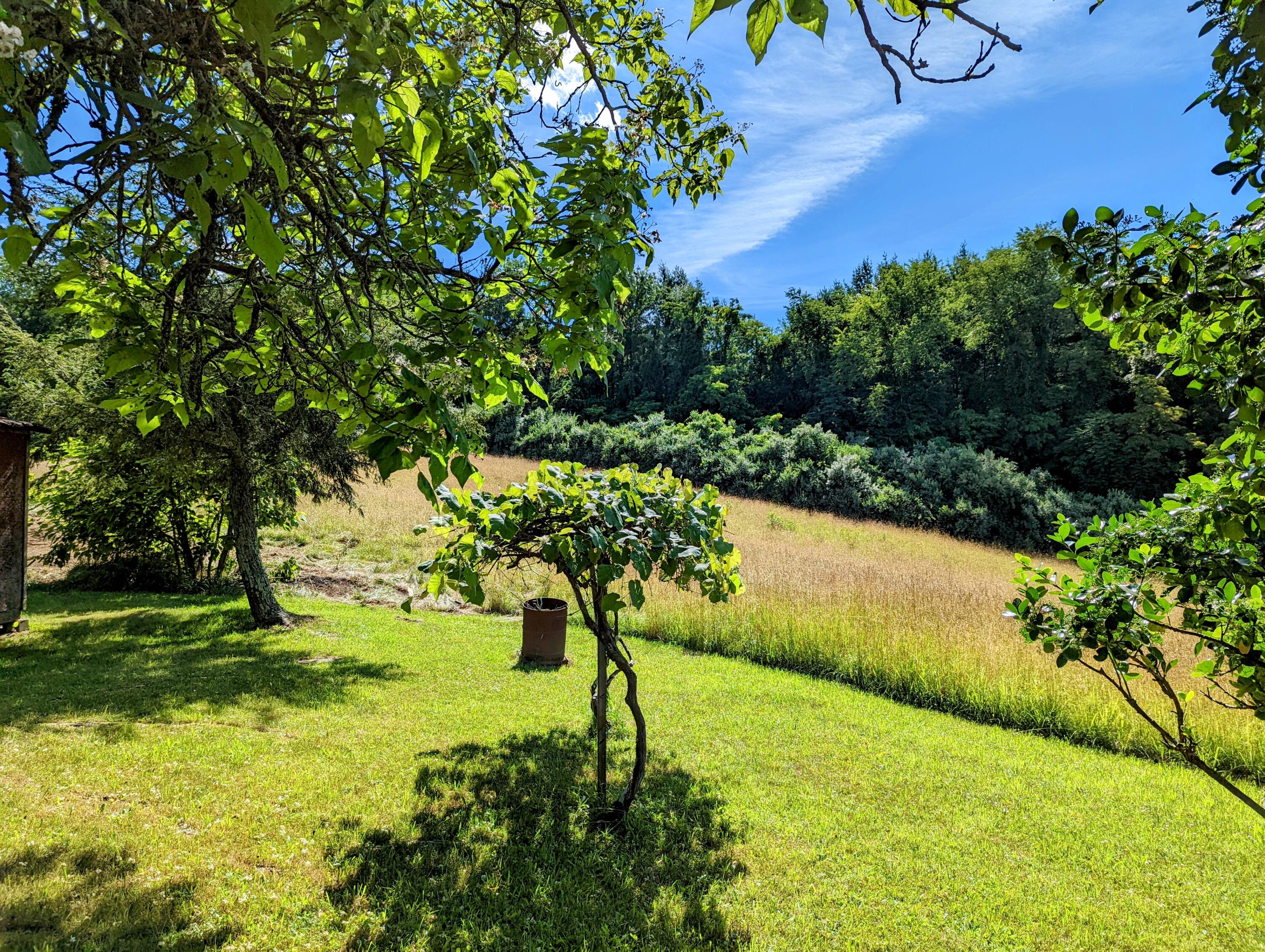 5283 Landrum Road Dublin, VA 24084 - Photo 7 of 15 6