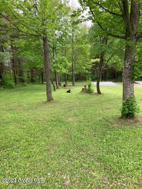 625 Cotton Hill Road Middleburgh, NY 12122 - Photo 12 of 16 625 Cotton Hill 13