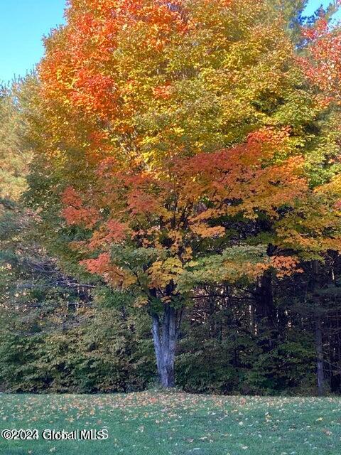625 Cotton Hill Road Middleburgh, NY 12122 - Photo 3 of 16 625 Cotton Hill 3