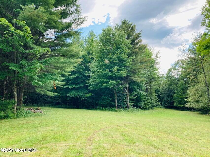 625 Cotton Hill Road Middleburgh, NY 12122 - Photo 6 of 16 625 Cotton Hill 7