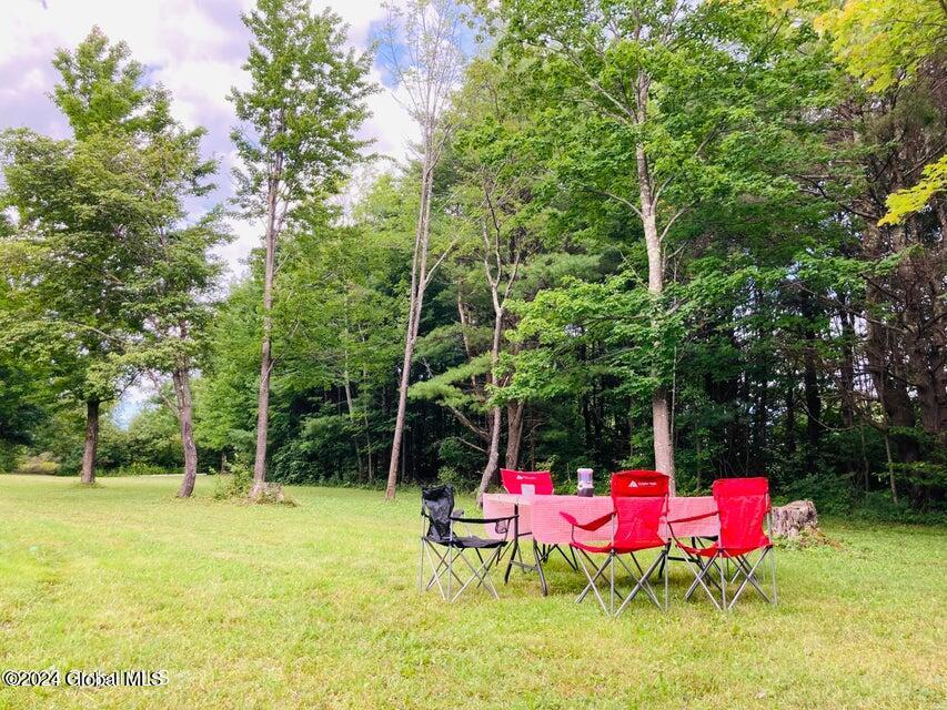 625 Cotton Hill Road Middleburgh, NY 12122 - Photo 7 of 16 625 Cotton Hill 8