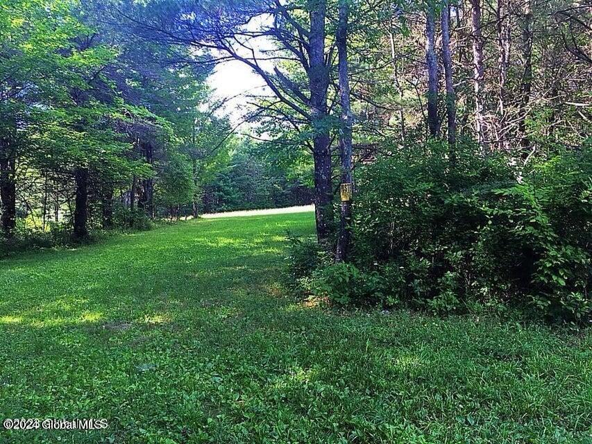 625 Cotton Hill Road Middleburgh, NY 12122 - Photo 8 of 16 625 Cotton Hill 9