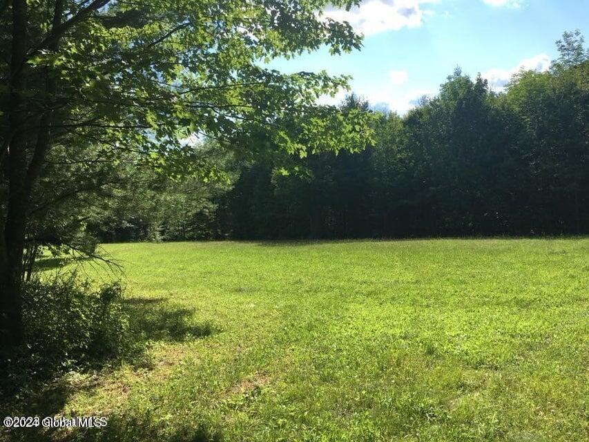 625 Cotton Hill Road Middleburgh, NY 12122 - Photo 9 of 16 625 Cotton Hill 10