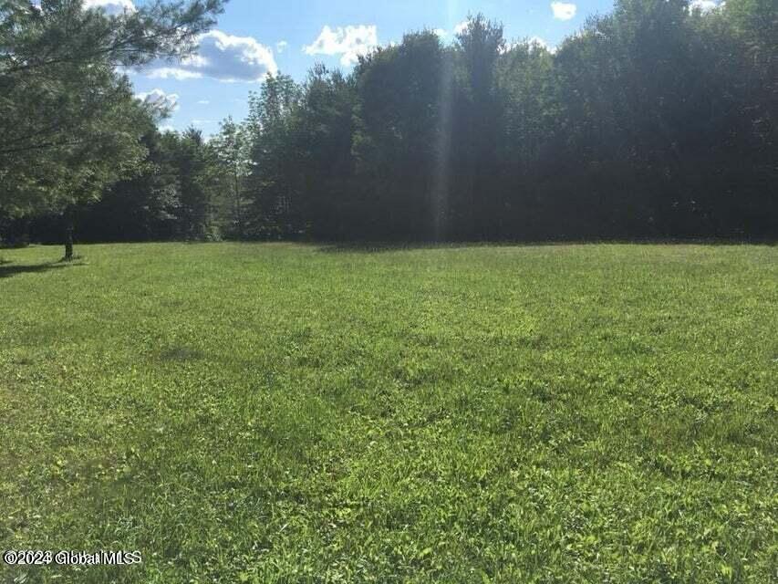 625 Cotton Hill Road Middleburgh, NY 12122 - Photo 10 of 16 625 Cotton Hill 11