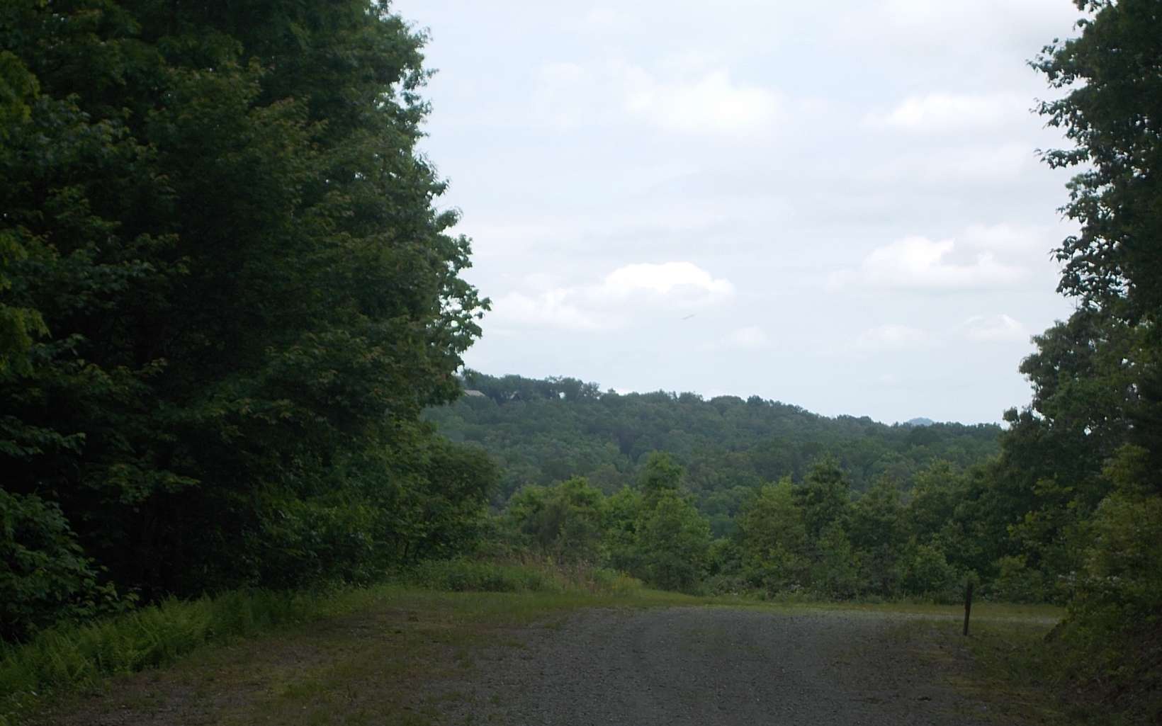 a view of a city with lush green forest