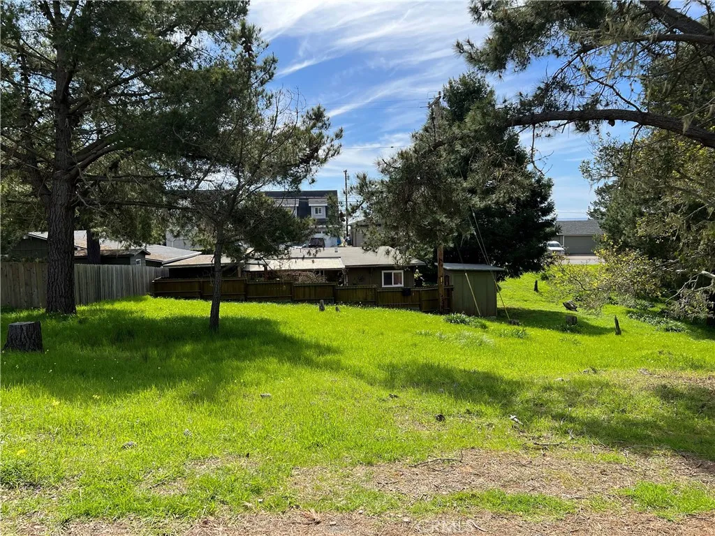 0 Benson Cambria, CA 93428 - Photo 9 of 9 a garden view