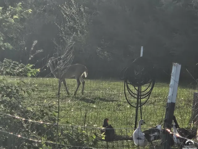 $225,000 | 12279 South Docking Road, Burlingame, KS 66413