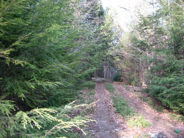 Lot 12 Loon Road Embden, ME 04958 - Photo 11 of 12 Photo