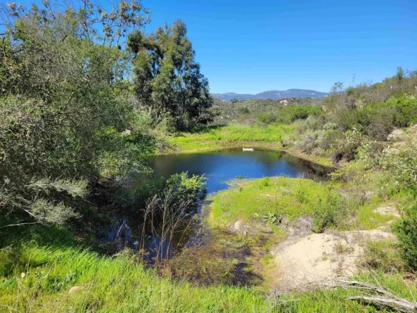 $978,000 | 2494 Lane Fallbrook Ca, Fallbrook, CA 92028