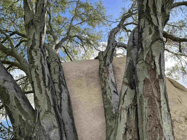 $978,000 | 2494 Lane Fallbrook Ca, Fallbrook, CA 92028