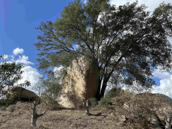 $978,000 | 2494 Lane Fallbrook Ca, Fallbrook, CA 92028