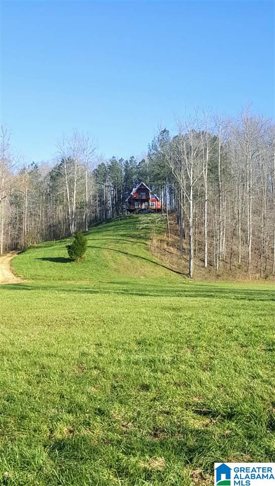 573 County Road 436 Fruithurst, AL 36262 - Photo 43 of 45
