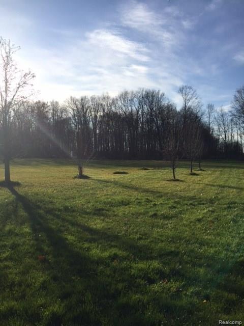 7238 Elms Road Swartz Creek, MI 48473 - Photo 12 of 70 IMG_4684.JPG