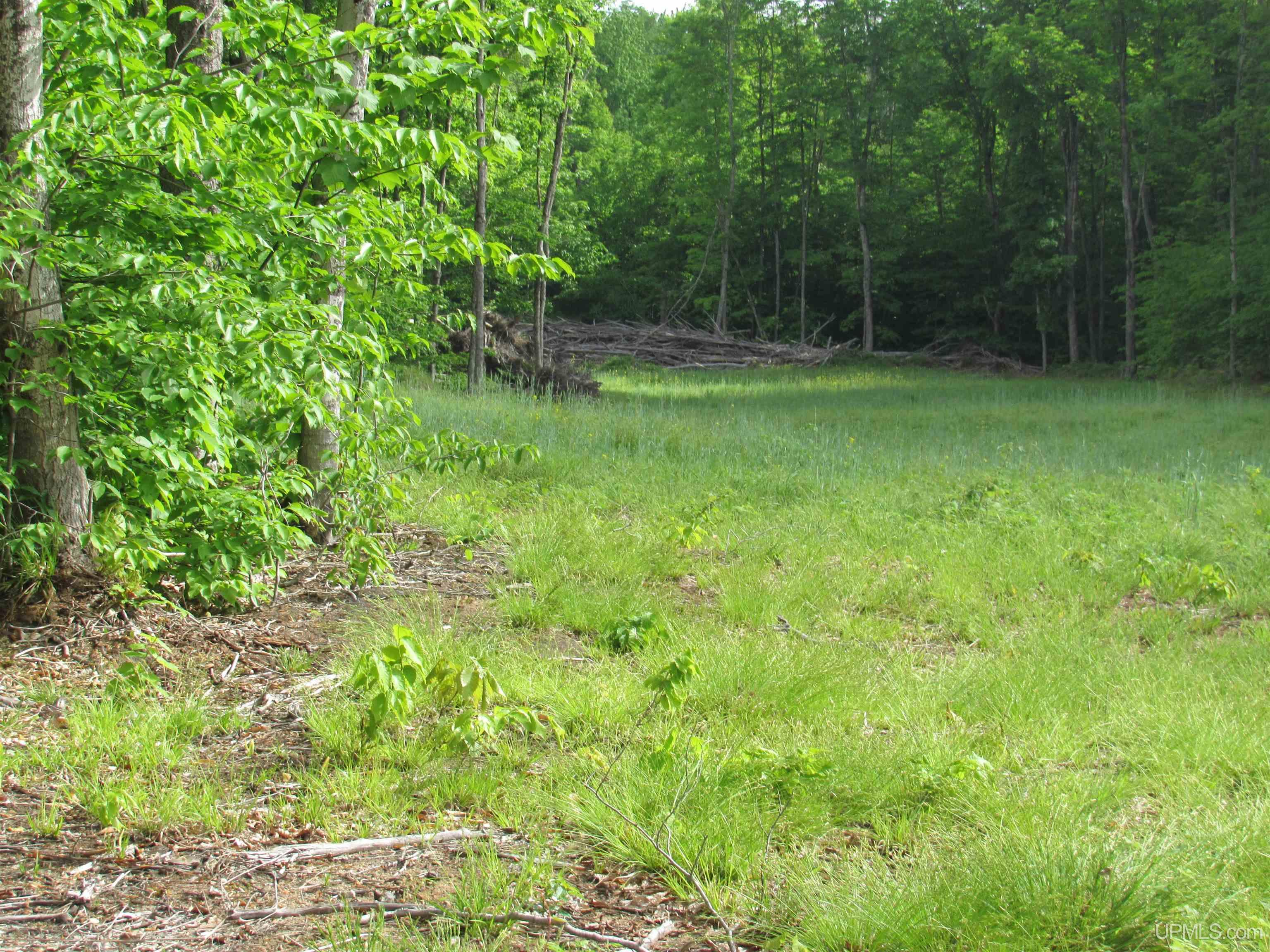 Tbd Tbd Sigan Camp Road Seney, MI 49883 - Photo 30 of 41