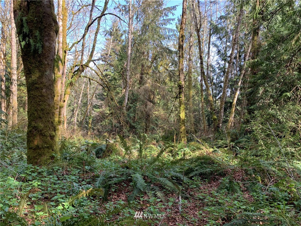 29671 Rash Road Northeast Kingston, WA 98346 - Photo 11 of 13 Gallery Image 11