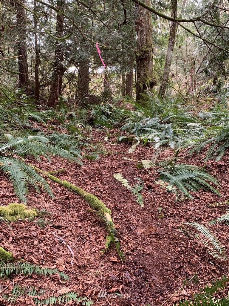29671 Rash Road Northeast Kingston, WA 98346 - Photo 12 of 13 Gallery Image 12