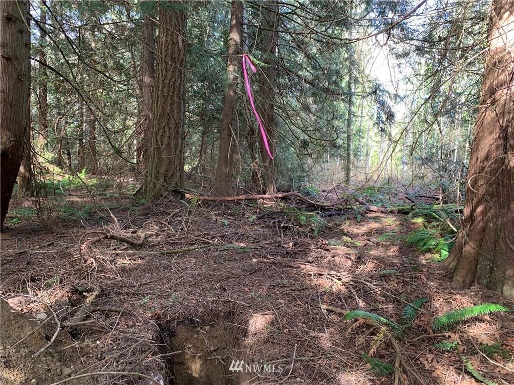 29671 Rash Road Northeast Kingston, WA 98346 - Photo 10 of 13 Gallery Image 10
