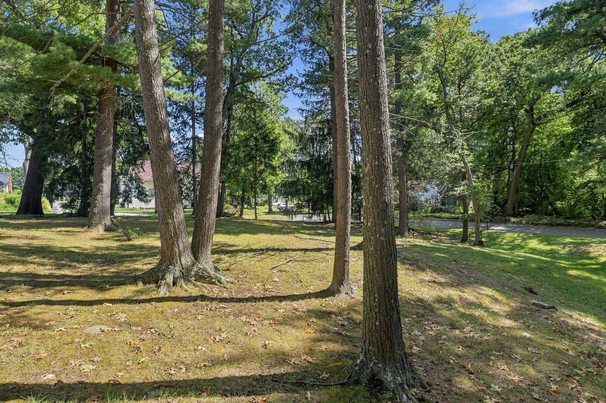 46 Rush Street Springfield, MA 01109 - Photo 7 of 40 Gallery Image 7