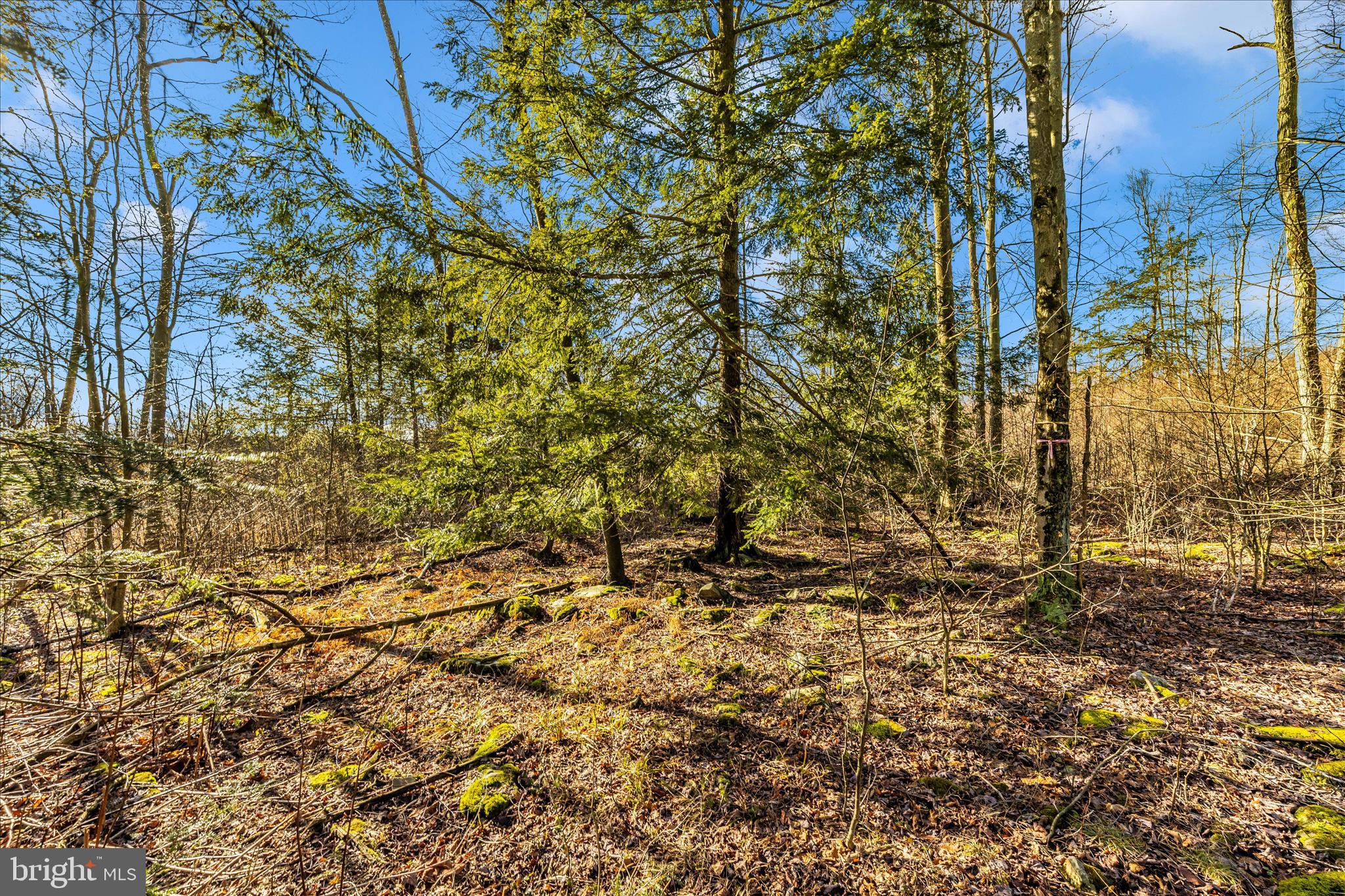 0 Mountain Road Lilly, PA 15938 - Photo 32 of 34 F05A9236
