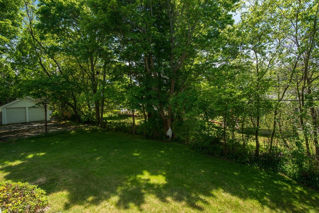 1 R Ticehurst Lane Marblehead, MA 01945 - Photo 17 of 21 a view of a trees with a yard
