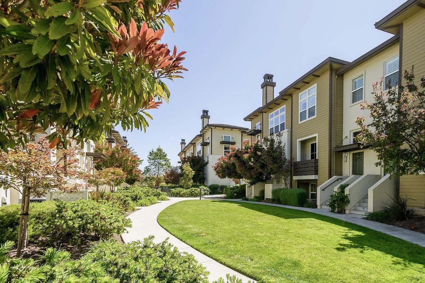 a view of a big yard with plants and trees