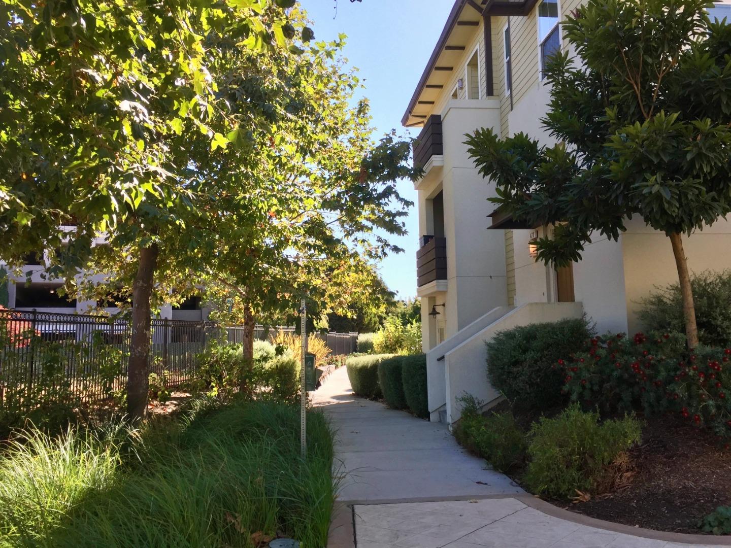 458 Landeros Drive San Mateo, CA 94403 - Photo 20 of 42 a backyard of a house with lots of green space