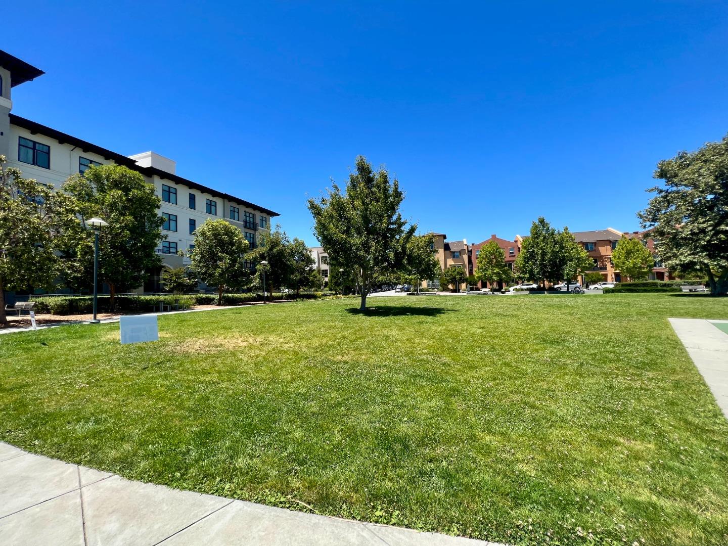 458 Landeros Drive San Mateo, CA 94403 - Photo 27 of 42 a view of a park with large trees