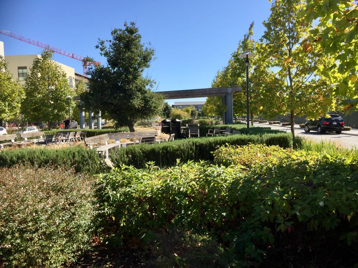 458 Landeros Drive San Mateo, CA 94403 - Photo 29 of 42 a view of a park with large trees