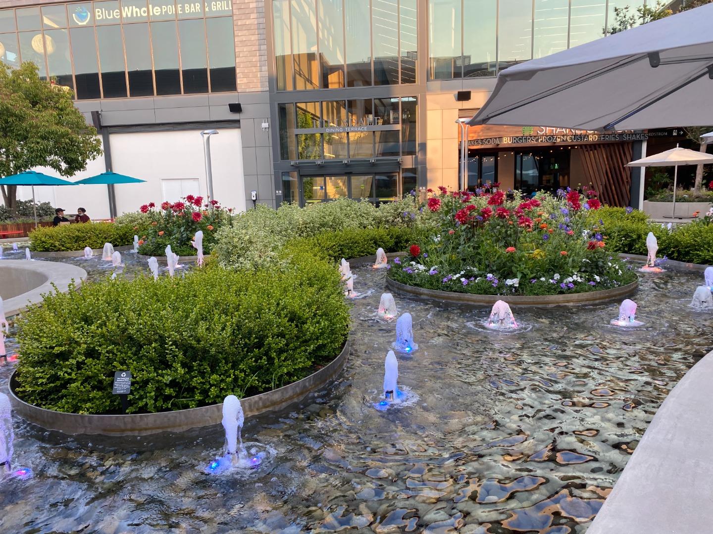 458 Landeros Drive San Mateo, CA 94403 - Photo 35 of 42 a front view of a house with a yard and potted plants